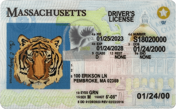 The Cost of a Fake Driver’s License and Its Worthlessness