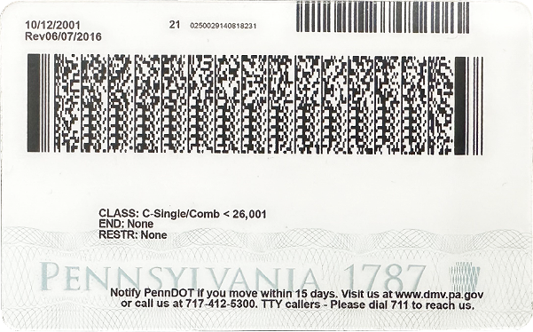 How Do Pet Grooming Shops Check for Customer’s Driver’s Licenses