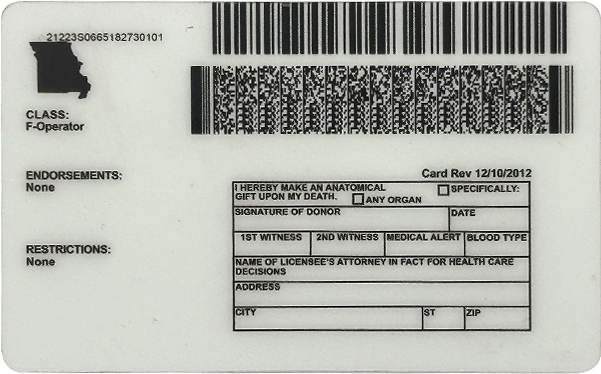How Do Government Agencies Verify Driver’s Licenses to Stop Fakes